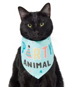 Frisco Party Animal Dog & Cat Bandana -PetNest Shop 315136 PT2. SY630 V1646438016