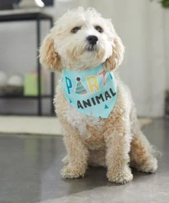 Frisco Party Animal Dog & Cat Bandana -PetNest Shop 315136 PT8. SY630 V1646433185