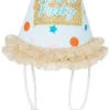Frisco It's a Party Animal Dog & Cat Hat -PetNest Shop 315139 MAIN. SY630 V1646437017