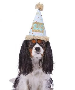 Frisco It's a Party Animal Dog & Cat Hat -PetNest Shop 315139 PT2. SY630 V1646439434