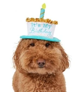 Frisco It's My Birthday Dog & Cat Hat 9 Frisco It's My Birthday Dog & Cat Hat -PetNest Shop 315142 PT2. SY630 V1646436466