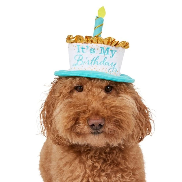 Frisco It's My Birthday Dog & Cat Hat 5 Frisco It's My Birthday Dog & Cat Hat - Image 3