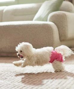 Frisco Washable Female Diaper, Flamingo, 3pk -PetNest Shop 315700 PT3. SY630 V1644883551