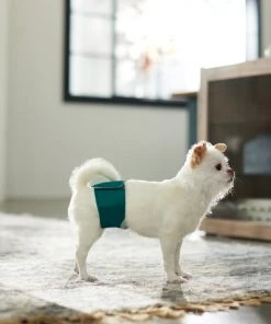 Frisco Washable Male Wrap, Whales, 3pk -PetNest Shop 315706 PT3. SY630 V1644882254