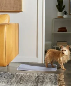 Frisco Washable Dog Potty Pads, 2pk, Unscented -PetNest Shop 315712 PT3. SY630 V1644880410