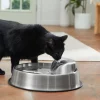 Frisco Stainless Steel Round Dog & Cat Fountain, 1 Gallon -PetNest Shop 316358 MAIN. SY630 V1637607391