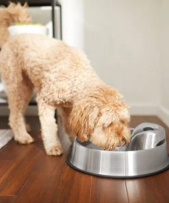 Frisco Stainless Steel Round Dog & Cat Fountain, 1 Gallon -PetNest Shop 316358 PT6. SY630 V1637610402