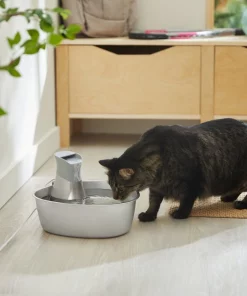 Frisco Stainless Steel Triangle Dog & Cat Fountain, 1 Gallon