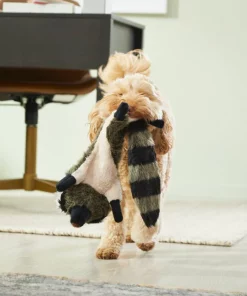 Frisco Fur Really Real Raccoon Plush Squeaky Dog Toy -PetNest Shop 316925 PT2. SY630 V1641400901