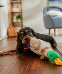 Frisco Fur Really Real Mallard Plush Squeaky Dog Toy -PetNest Shop 316927 PT2. SY630 V1641400912