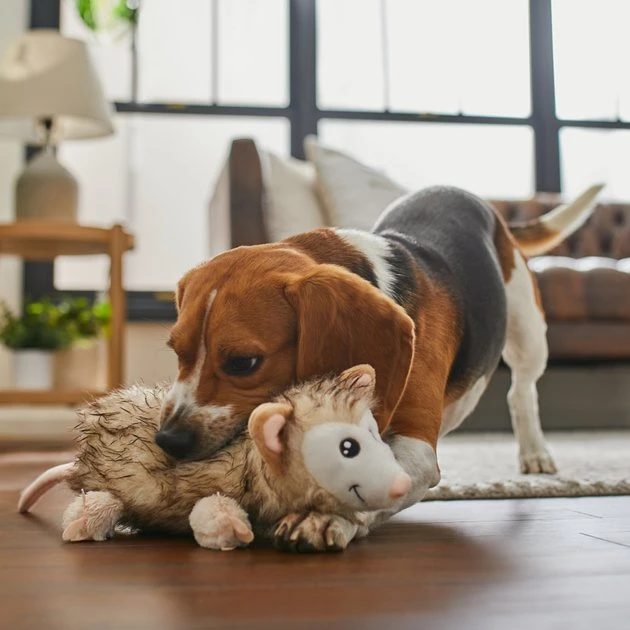 Frisco Fur Really Real Possum Plush Squeaky Dog Toy 5 Frisco Fur Really Real Possum Plush Squeaky Dog Toy - Image 3