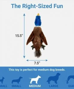 Frisco Fur Really Real Pheasant Plush Squeaky Dog Toy 6 Frisco Fur Really Real Pheasant Plush Squeaky Dog Toy -PetNest Shop 316931 PT1. SY630 V1641400942