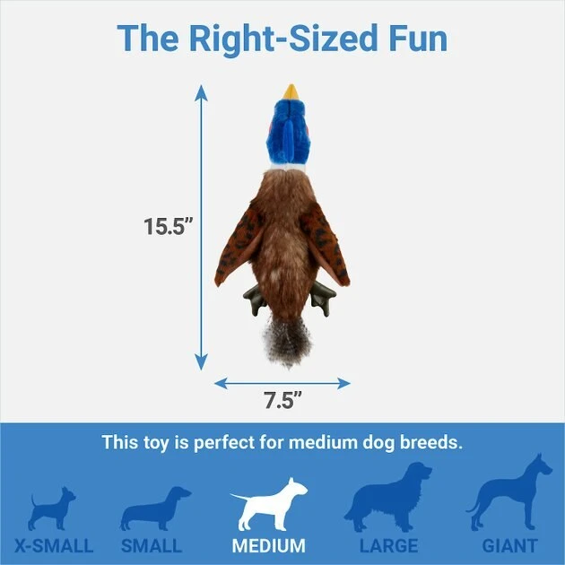 Frisco Fur Really Real Pheasant Plush Squeaky Dog Toy 4 Frisco Fur Really Real Pheasant Plush Squeaky Dog Toy - Image 2