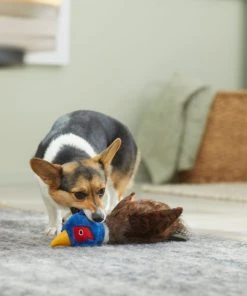 Frisco Fur Really Real Pheasant Plush Squeaky Dog Toy 7 Frisco Fur Really Real Pheasant Plush Squeaky Dog Toy -PetNest Shop 316931 PT2. SY630 V1641400893