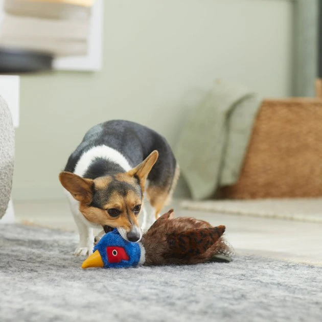 Frisco Fur Really Real Pheasant Plush Squeaky Dog Toy 5 Frisco Fur Really Real Pheasant Plush Squeaky Dog Toy - Image 3