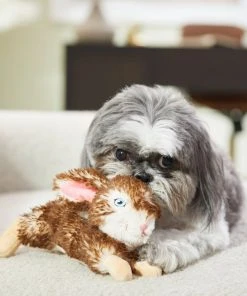 Frisco Realistic Plush Rabbit Plush Dog Toy 7 Frisco Realistic Plush Rabbit Plush Dog Toy -PetNest Shop 316933 PT2. SY630 V1641400634
