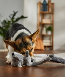 Frisco Fur Really Real Squirrel Plush Laying Squeaky Dog Toy 7 Frisco Fur Really Real Squirrel Plush Laying Squeaky Dog Toy -PetNest Shop 316935 PT2. SY630 V1641400940