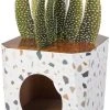 Frisco Potted Succulent Cardboard Cat House -PetNest Shop 317723 MAIN. SY630 V1642086153