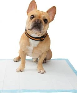 Frisco 4-Panel Plastic Exercise Playpen, White + Dog Training & Potty Pads, 22 x 23-in, 150 count, Unscented -PetNest Shop 318960 PT8. SY630 V1630366595