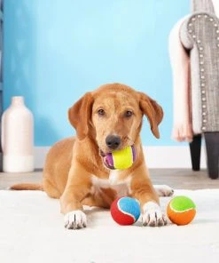 Frisco||Project Hive Pet Company Frisco Fetch Squeaking Colorful Tennis Ball, 3-Pack + Project Hive Pet Company Ball Dog Toy -PetNest Shop 319024 PT3. SY630 V1630550869