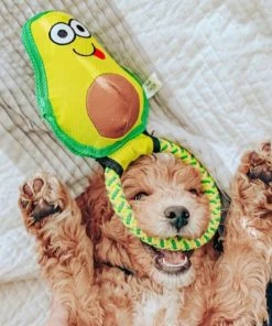 Frisco||Avo Doggo Frisco Hide and Seek Plush Guacamole Toy + Avo Doggo Avocado Dog Tug Toy -PetNest Shop 319052 PT7. SY630 V1630561579