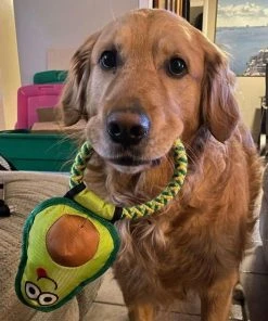 Frisco||Avo Doggo Frisco Hide and Seek Plush Guacamole Toy + Avo Doggo Avocado Dog Tug Toy -PetNest Shop 319052 PT8. SY630 V1630559470