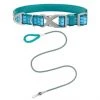 Frisco Outdoor Comfort Print Nylon Padded Collar, Large, Neck: 18 -26-in, Width: 1-in + Outdoor Ultra Reflective Rope Leash With Padded Handle, Bayou Teal, 6 - ft -PetNest Shop 319068 MAIN. SY630 V1631140607