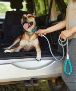 Frisco Outdoor Comfort Print Nylon Padded Collar, Large, Neck: 18 -26-in, Width: 1-in + Outdoor Ultra Reflective Rope Leash With Padded Handle, Bayou Teal, 6 - ft -PetNest Shop 319068 PT8. SY630 V1631154979