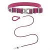 Frisco Outdoor Comfort Print Nylon Padded Collar, Large, Neck: 18 -26-in, Width: 1-in + Outdoor Ultra Reflective Rope Leash With Padded Handle, Boysenberry Purple, 6 - ft -PetNest Shop 319070 MAIN. SY630 V1631139670