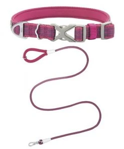 Frisco Outdoor Comfort Print Nylon Padded Collar, Large, Neck: 18 -26-in, Width: 1-in + Outdoor Ultra Reflective Rope Leash With Padded Handle, Boysenberry Purple, 6 - ft