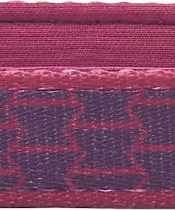 Frisco Outdoor Comfort Print Nylon Padded Collar, Large, Neck: 18 -26-in, Width: 1-in + Outdoor Ultra Reflective Rope Leash With Padded Handle, Boysenberry Purple, 6 - ft -PetNest Shop 319070 PT2. SY630 V1631140581