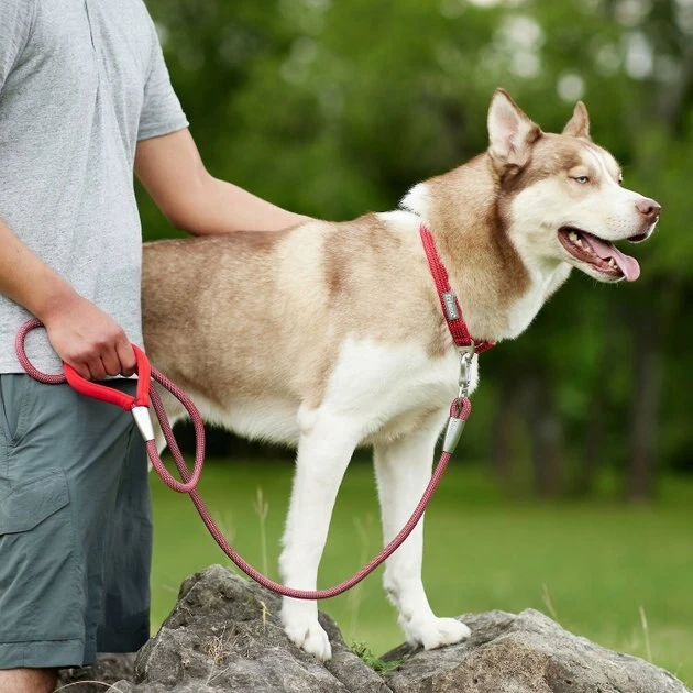 Frisco Outdoor Comfort Print Nylon Padded Collar, Large, Neck: 18 -26-in, Width: 1-in + Outdoor Ultra Reflective Rope Leash With Padded Handle, Sunset Orange, 6 - ft 11 Frisco Outdoor Comfort Print Nylon Padded Collar, Large, Neck: 18 -26-in, Width: 1-in + Outdoor Ultra Reflective Rope Leash With Padded Handle, Sunset Orange, 6 - ft - Image 9