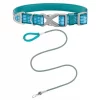 Frisco Outdoor Comfort Print Nylon Padded Collar, Medium - Neck: 14-20-in, Width: 3/4-in + Outdoor Ultra Reflective Rope Leash With Padded Handle, Bayou Teal, 6 - ft -PetNest Shop 319076 MAIN. SY630 V1631140294