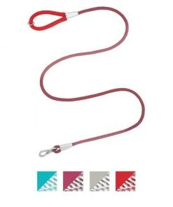 Frisco Outdoor Frisco Nylon Collar, Flamepoint Orange, Small-Neck: 10-14-in, Width: 5/8-in + Rope Leash With Padded Handle, Sunset Orange, 6-ft -PetNest Shop 319098 PT5. SY630 V1631140276