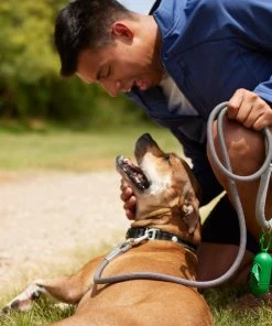 Frisco Outdoor Frisco Nylon Collar, Forest Green, Medium-Neck: 14-20-in, Width: 3/4-in + Rope Leash With Padded Handle, Stone Gray, 6-ft -PetNest Shop 319104 PT8. SY630 V1631158315