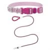 Frisco Outdoor Frisco Nylon Collar, Shadow Purple, Extra Small, Neck: 8-12-in, Width: 5/8th -in + Rope Leash With Padded Handle, Boysenberry Purple, 6-ft -PetNest Shop 319108 MAIN. SY630 V1631148986
