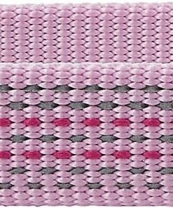 Frisco Outdoor Frisco Nylon Collar, Shadow Purple, Medium-Neck: 14-20-in, Width: 3/4-in + Rope Leash With Padded Handle, Boysenberry Purple, 6-ft -PetNest Shop 319112 PT2. SY630 V1631144174