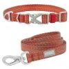 Frisco Outdoor Heathered Nylon Collar, Flamepoint Orange, Medium - Neck: 14-20-in, Width: 3/4-in + Dog Leash, Flamepoint Orange, Medium - Length: 6-ft, Width: 3/4-in -PetNest Shop 319120 MAIN. SY630 V1631145374