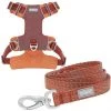 Frisco Outdoor Lightweight Ripstop Nylon Harness, Flamepoint Orange, Extra Large, Neck: 22 to 34-in, Girth: 32 to 44-in + Heathered Dog Leash, Flamepoint Orange, Large - Length: 6-ft, Width: 1-in -PetNest Shop 319148 MAIN. SY630 V1631159485