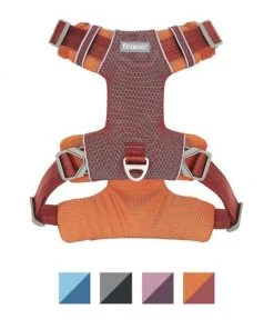 Frisco Outdoor Lightweight Ripstop Nylon Harness, Flamepoint Orange, Extra Large, Neck: 22 to 34-in, Girth: 32 to 44-in + Heathered Dog Leash, Flamepoint Orange, Large - Length: 6-ft, Width: 1-in -PetNest Shop 319148 PT1. SY630 V1631159787