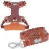 Frisco Outdoor Lightweight Ripstop Nylon Harness, Flamepoint Orange, Large, Neck: 18 to 28-in, Girth 24 to 34-in + Heathered Dog Leash, Flamepoint Orange, Large - Length: 6-ft, Width: 1-in -PetNest Shop 319152 MAIN. SY630 V1631147795
