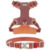 Frisco Outdoor Lightweight Ripstop Nylon Harness, Flamepoint Orange, Large, Neck: 18 to 28-in, Girth 24 to 34-in + Heathered Nylon Collar, Flamepoint Orange, Large, Neck: 18 -26-in, Width: 1-in -PetNest Shop 319154 MAIN. SY630 V1631140597