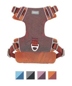 Frisco Outdoor Lightweight Ripstop Nylon Harness, Flamepoint Orange, Small, Neck: 13 to 19-in, Girth: 16 to 22-in + Heathered Dog Leash, Flamepoint Orange, Small - Length: 6-ft, Width: 5/8-in -PetNest Shop 319160 PT1. SY630 V1631149574