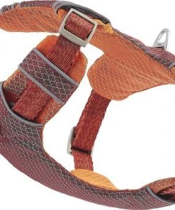 Frisco Outdoor Lightweight Ripstop Nylon Harness, Flamepoint Orange, Small, Neck: 13 to 19-in, Girth: 16 to 22-in + Heathered Dog Leash, Flamepoint Orange, Small - Length: 6-ft, Width: 5/8-in -PetNest Shop 319160 PT3. SY630 V1631139114