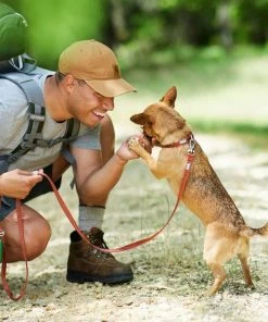 Frisco Outdoor Lightweight Ripstop Nylon Harness, Flamepoint Orange, Small, Neck: 13 to 19-in, Girth: 16 to 22-in + Heathered Dog Leash, Flamepoint Orange, Small - Length: 6-ft, Width: 5/8-in -PetNest Shop 319160 PT8. SY630 V1631138790