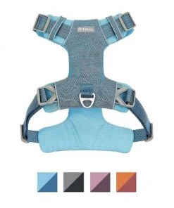 Frisco Outdoor Lightweight Ripstop Nylon Harness, River Blue, Extra Large, Neck: 22 to 34-in, Girth: 32 to 44-in + Heathered Dog Leash, River Blue, Large - Length: 6-ft, Width: 1-in -PetNest Shop 319164 PT1. SY630 V1631148973