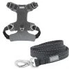 Frisco Outdoor Lightweight Ripstop Nylon Harness, Storm Gray, Extra Large, Neck: 22 to 34-in, Girth: 32 to 44-in + Heathered Dog Leash, Midnight Black, LG - Length: 6-ft, Width: 1-in -PetNest Shop 319196 MAIN. SY630 V1631151688