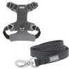 Frisco Outdoor Lightweight Ripstop Nylon Harness, Storm Gray, Large, Neck: 18 to 28-in, Girth 24 to 34-in + Heathered Dog Leash, Midnight Black, LG - Length: 6-ft, Width: 1-in -PetNest Shop 319200 MAIN. SY630 V1631142991