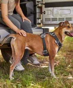 Frisco Outdoor Lightweight Ripstop Nylon Harness, Storm Gray, Large, Neck: 18 to 28-in, Girth 24 to 34-in + Heathered Dog Leash, Midnight Black, LG - Length: 6-ft, Width: 1-in 16 Frisco Outdoor Lightweight Ripstop Nylon Harness, Storm Gray, Large, Neck: 18 to 28-in, Girth 24 to 34-in + Heathered Dog Leash, Midnight Black, LG - Length: 6-ft, Width: 1-in -PetNest Shop 319200 PT5. SY630 V1631151695