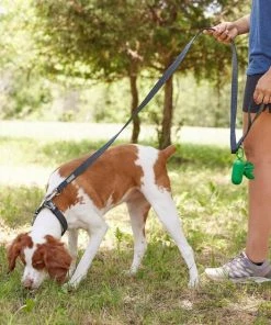 Frisco Outdoor Lightweight Ripstop Nylon Harness, Storm Gray, Large, Neck: 18 to 28-in, Girth 24 to 34-in + Heathered Dog Leash, Midnight Black, LG - Length: 6-ft, Width: 1-in 19 Frisco Outdoor Lightweight Ripstop Nylon Harness, Storm Gray, Large, Neck: 18 to 28-in, Girth 24 to 34-in + Heathered Dog Leash, Midnight Black, LG - Length: 6-ft, Width: 1-in -PetNest Shop 319200 PT8. SY630 V1631147195